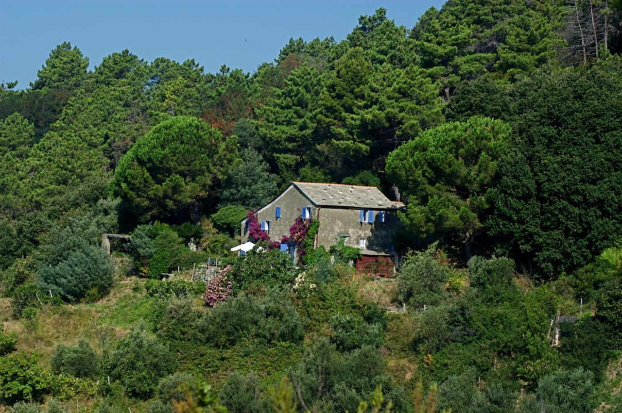 Maison De Charme Giulietta Bonassola Rom bilde